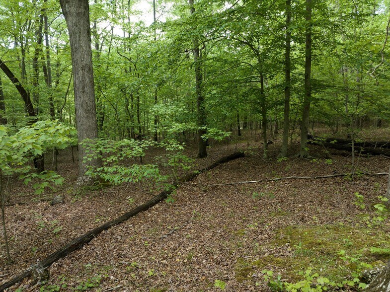 More Photos Of 899 W Mills Street, Columbus Land For Sale