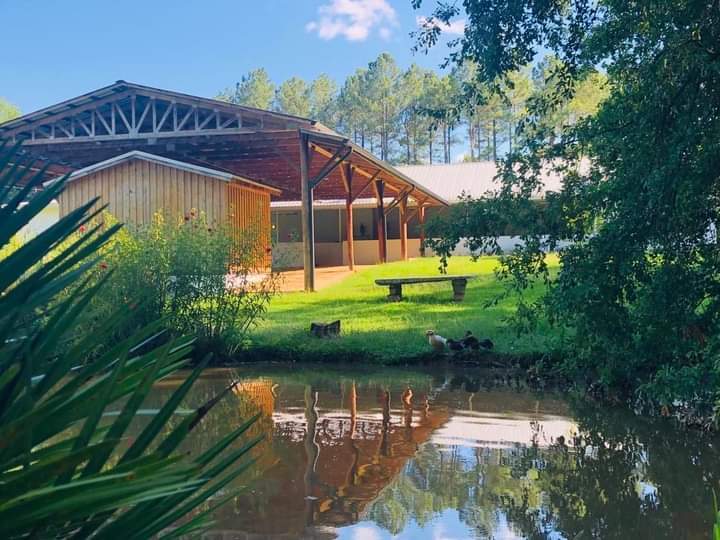 More Photos Of 46 Grove Chapel Church Rd, Winterville Specialty For Lease