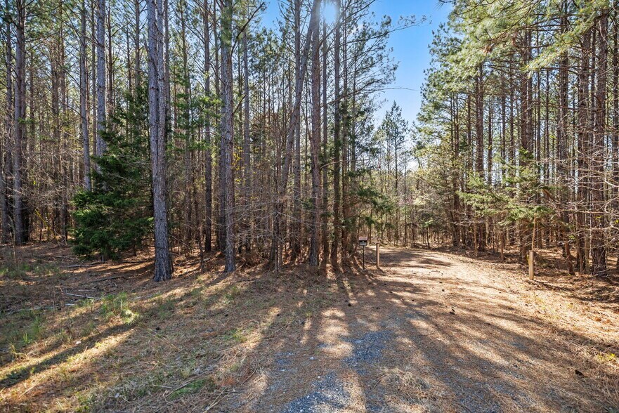 More Photos Of 1073 Boyds Mill Pond Rd, Laurens Land For Sale