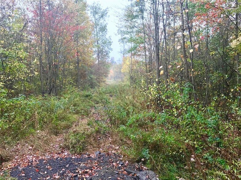 More Photos Of Bryant & SR 82 rd, Garrettsville Land For Sale