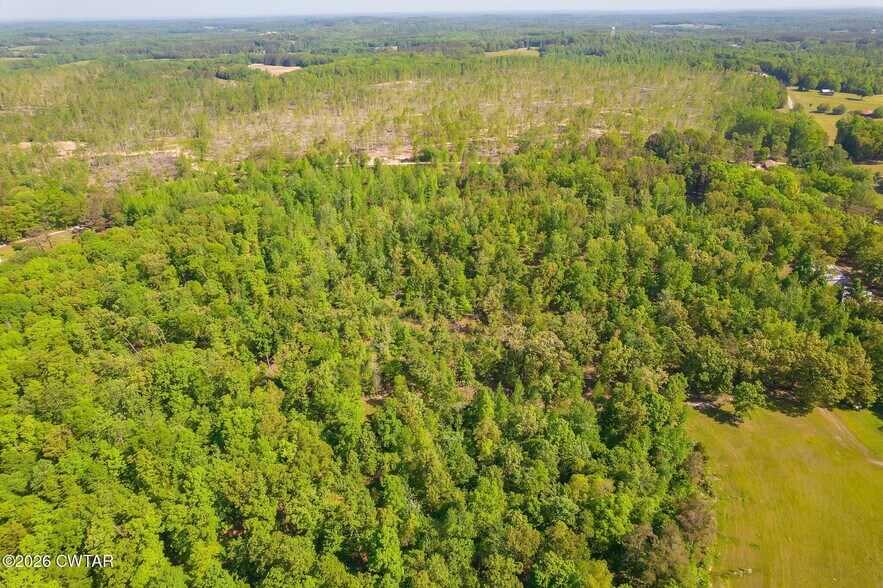 More Photos Of 9402 Brooksie Thompson Rd, Bath Springs Land For Sale
