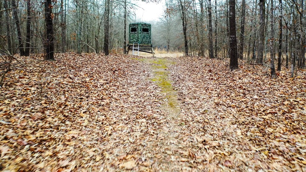 More Photos Of 1200 County 1255 rd, Detroit Land For Sale