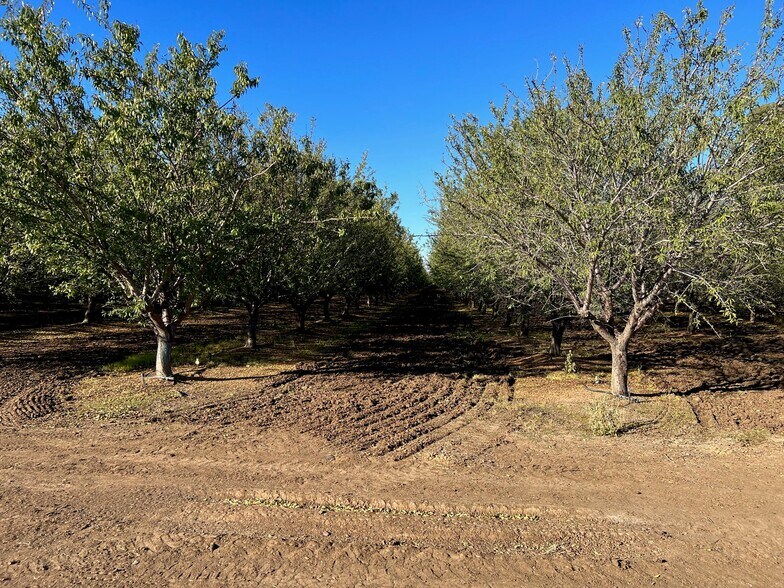 More Photos Of 33033 CA-16, Woodland Land For Sale