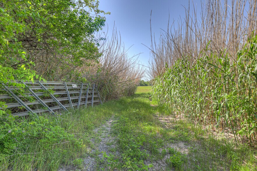 More Photos Of 000 FM 1984, Maxwell Land For Sale