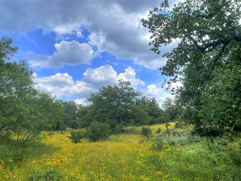 More Photos Of TBD County Road 110 c, Burnet Land For Sale