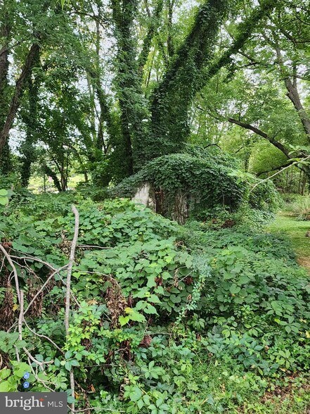 More Photos Of 107 Parks Rd, Chester Land For Sale