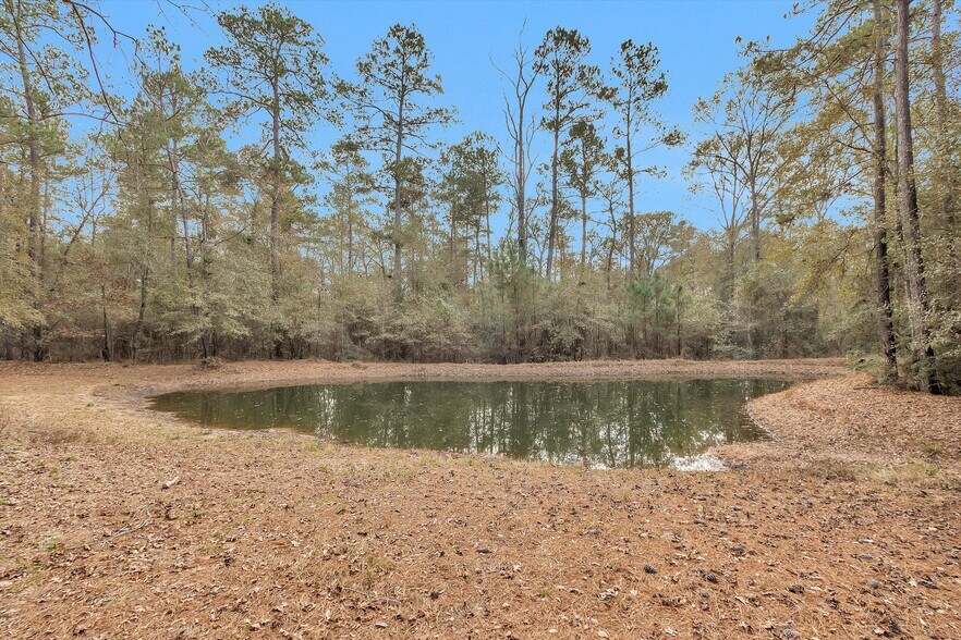 More Photos Of 215 FM 2929 Rd, Huntsville Land For Sale