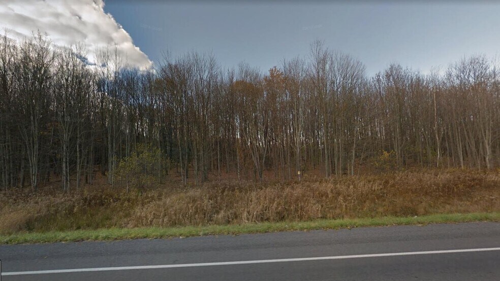 More Photos Of 111 Dry Rd, Oriskany Land For Sale