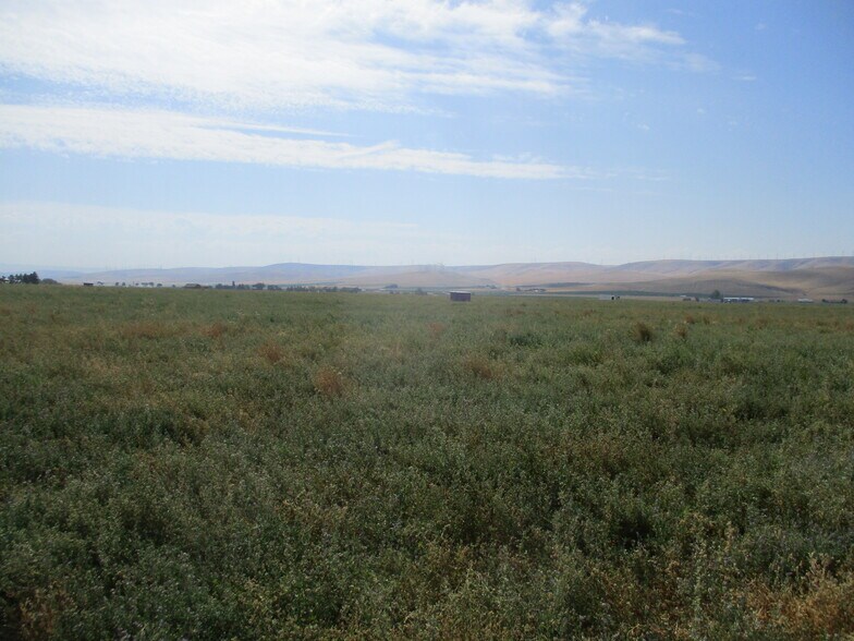 More Photos Of Thurber, Touchet Land For Sale