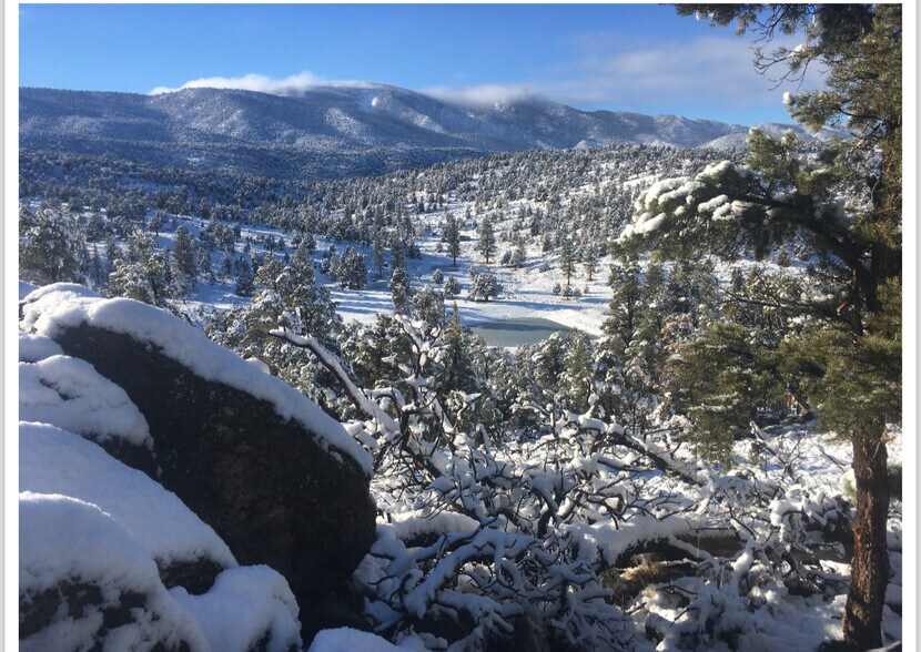 More Photos Of 550 Eagle Rdg Ln, Big Bear Lake Land For Sale