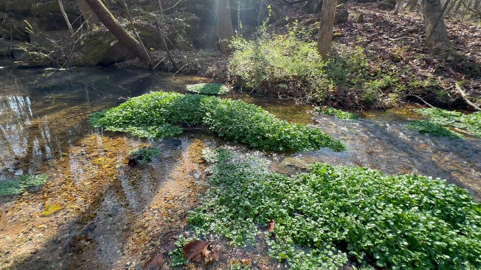 More Photos Of 7312 Highway 60, Georgetown Land For Sale