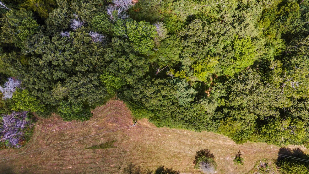 Primary Photo Of 14610 TX-21, North Zulch Land For Sale