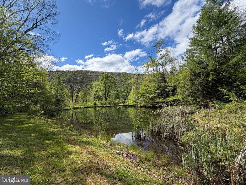 More Photos Of 1226-1227 Cross Fork Creek Rd, Cross Fork Land For Sale