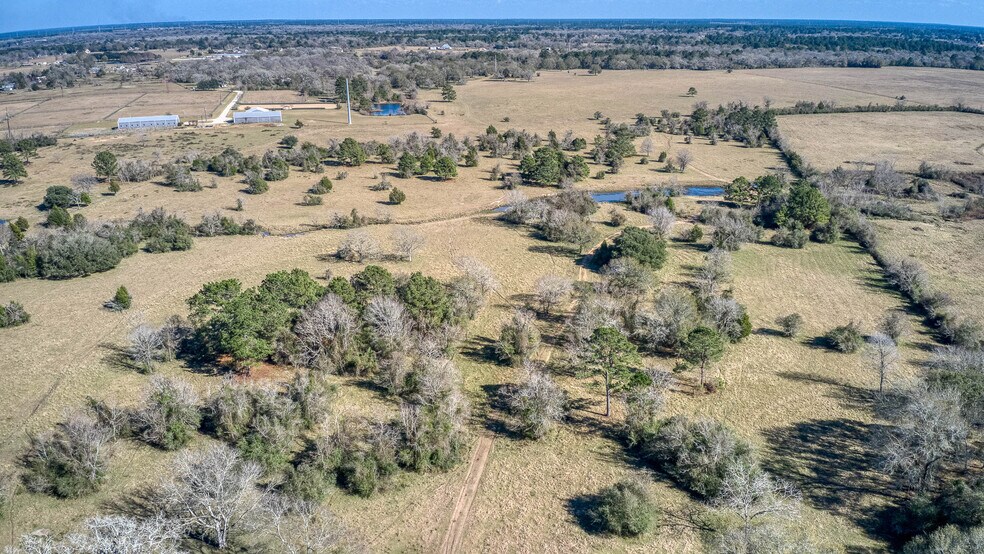 More Photos Of 26266 Fields Store Rd., Waller Land For Sale