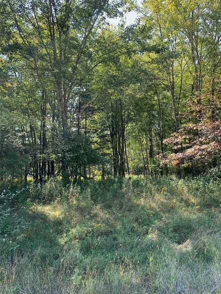More Photos Of 00 Osprey Lane, Gardiner Land For Sale