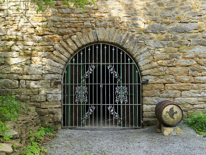 More Photos Of 4465 W Augusta Chatham Rd, Augusta Winery Vineyard For Sale