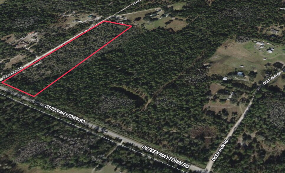 Primary Photo Of 800 Maytown rd, Osteen Land For Sale