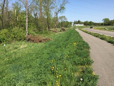 More Photos Of Xxx County Road 24 & 63rd Ave, Cannon Falls Land For Sale