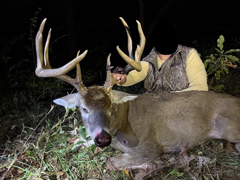 More Photos Of Highway D (77.2+/- Acres) Tract 1, Eolia Land For Sale