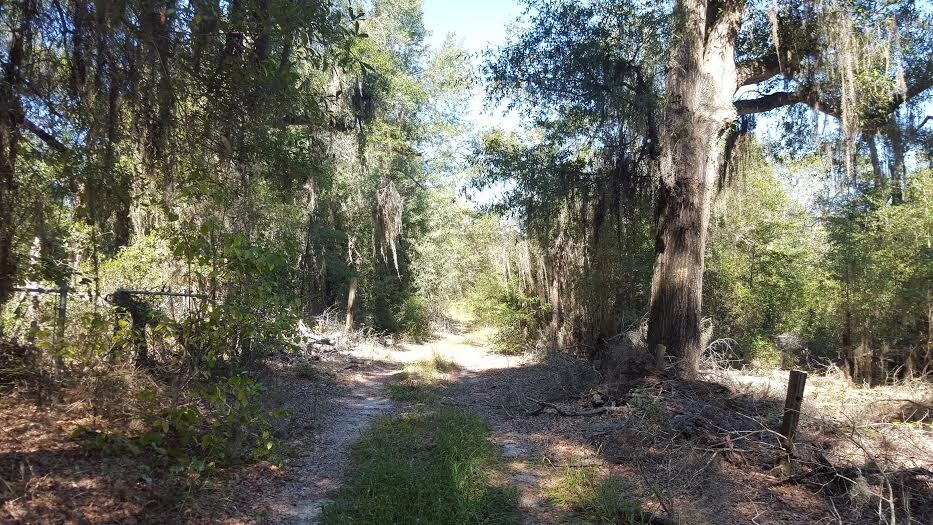 More Photos Of 0 Silver Bluff Rd, Aiken Land For Sale