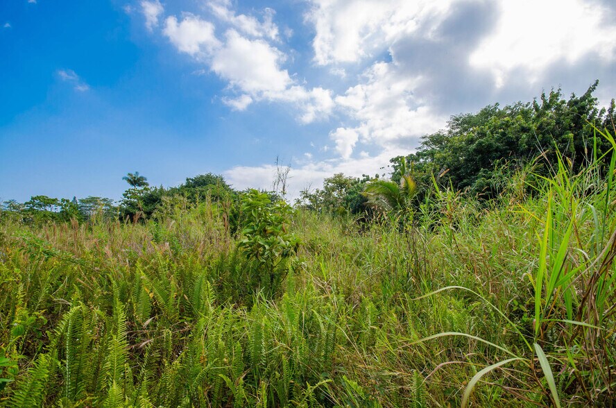 More Photos Of 15-2815 Pahoa Village, Pahoa Land For Sale