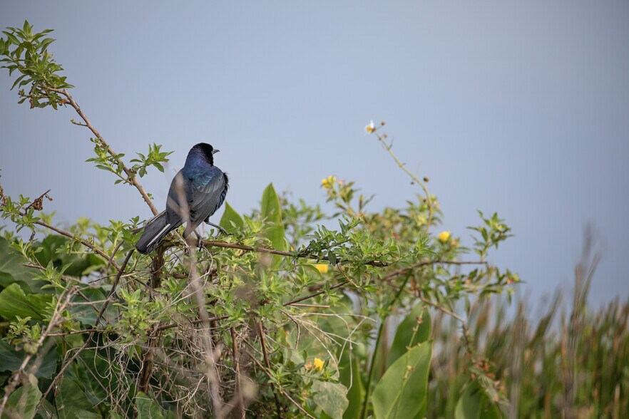 More Photos Of 4020 Country Club rd, Winter Haven Land For Sale