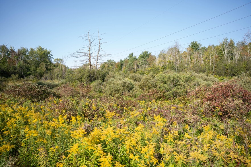 More Photos Of 219 Mudge rd, Delanson Land For Sale