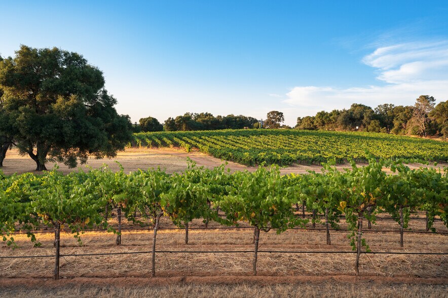 More Photos Of 20680 Shenandoah School Rd, Plymouth Winery Vineyard For Sale