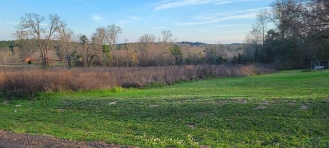 More Photos Of 697 Airlite Rd, Marshall Land For Sale