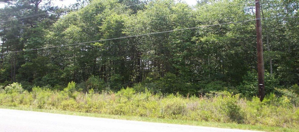Primary Photo Of 0 Mallard Rd, Summerville Land For Sale