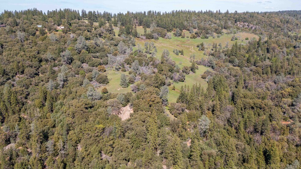 More Photos Of 18800 Charleston Rd, Volcano Land For Sale