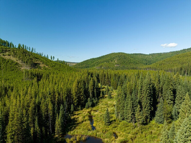 More Photos Of Nhn Logan Creek Road, Kila Land For Sale