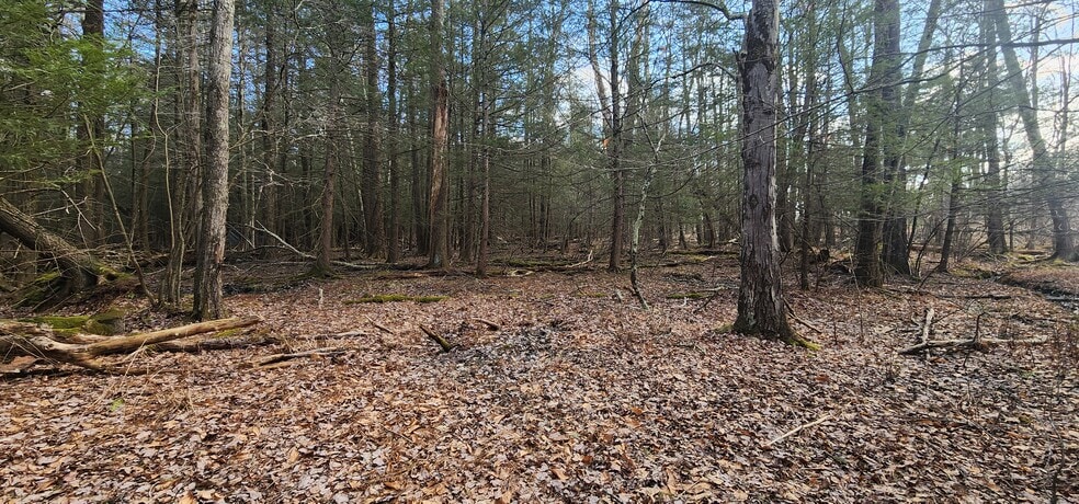 More Photos Of 42 Concord rd, Kiamesha Lake Land For Sale