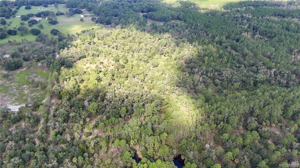 More Photos Of 20271 81st Terrace, Inglis Land For Sale