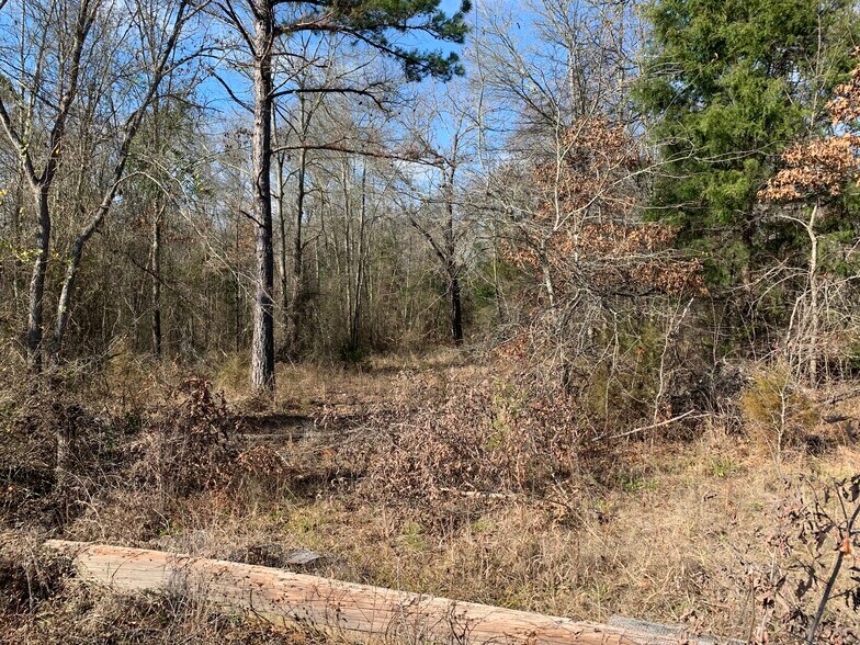 More Photos Of Interstate 20, Lindale Land For Sale