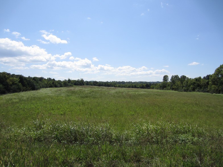 10 Wilson Rd  