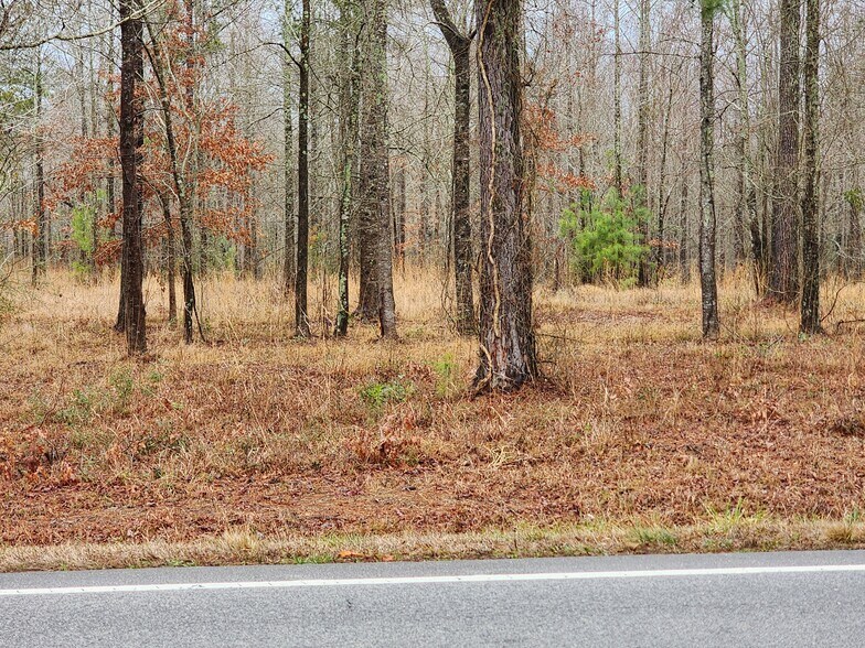 More Photos Of 8055 US-17, Vanceboro Land For Sale