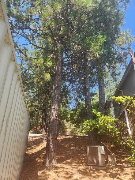 More Photos Of 1333 State Highway 174, Colfax Office Residential For Sale