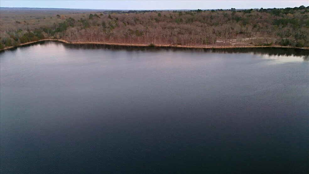 More Photos Of 23782 Holiday Pine dr, Mineola Land For Sale