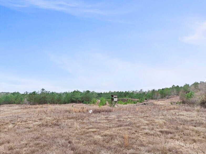 More Photos Of 16.31+/- AC Franklin Parkway Franklin GA 30217, Franklin Land For Sale