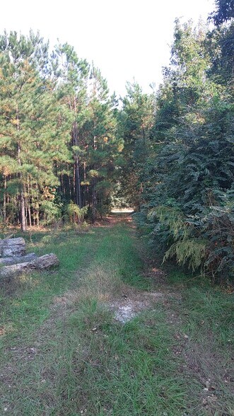 More Photos Of GA Hwy 30 & Keller Road, Port Wentworth Land For Sale