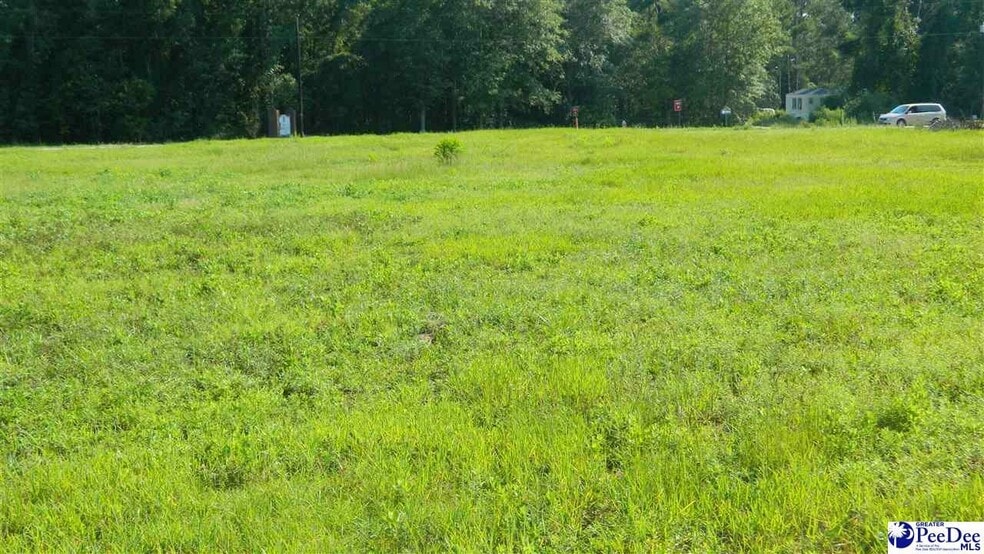 More Photos Of 4603 W Highway 76, Marion Land For Sale