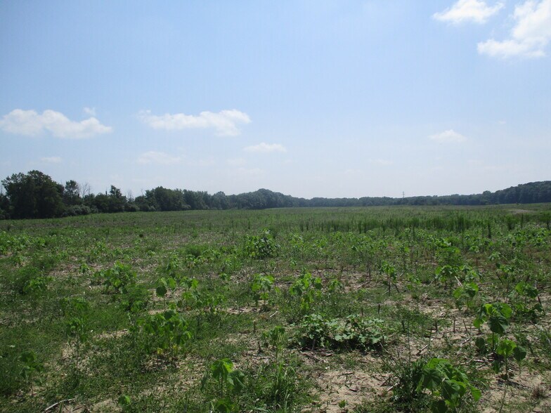 More Photos Of , Caledonia Land For Sale