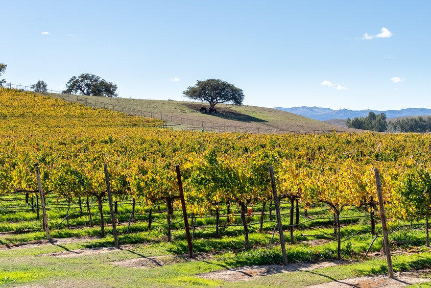 More Photos Of 7790 Airport Rd, Paso Robles Land For Sale