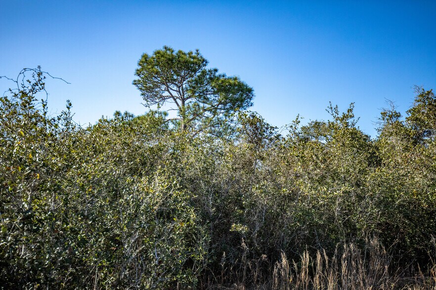 More Photos Of 6498 Highway 35 North, Rockport Land For Sale