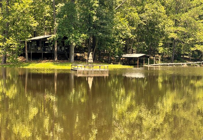 More Photos Of 17796 Dry Branch loop, Northport Land For Sale