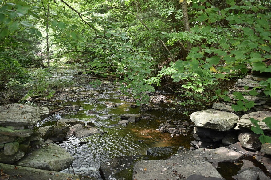 More Photos Of 2276 Old Route 17, Windsor Township Specialty For Sale