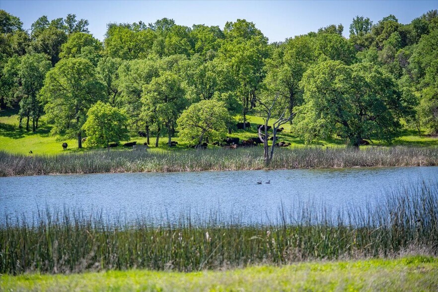 More Photos Of 26602 Snider Ranch Road, Oak Run Land For Sale