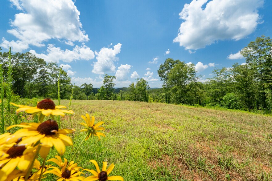 More Photos Of 1310 County Road 269, Wedowee Land For Sale