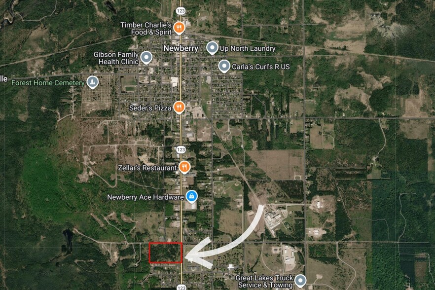 More Photos Of TBDState Highway M-123, Newberry Land For Sale
